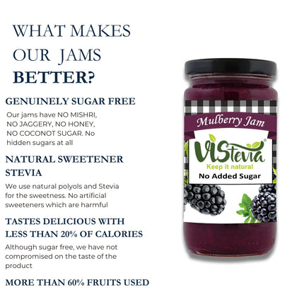 Vistevia Sugar Free Mulberry Jam, Diabetic and Keto Friendly - Sweetened Naturally With Stevia - Delicious To Taste, Pack of 1 (400G)