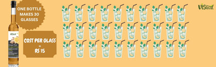 Vistevia Ginger Pop - Sugar Free Ginger Ale Syrup 470ml | Makes 30-35 glasses | 100% Natural | Diabetic & Keto friendly