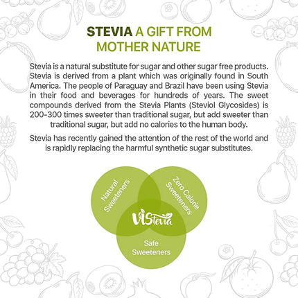 Sugar-Free Stevia Ginger Ale Drink Syrup - Pack of 2 (150ml x 2)