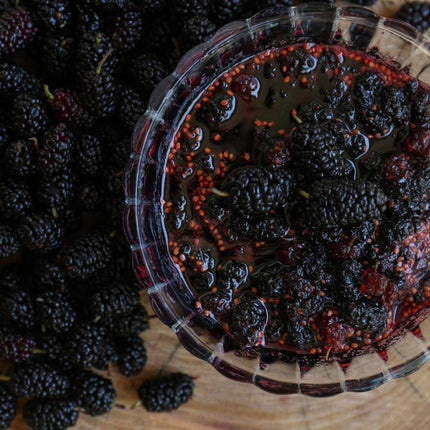 Sugar-Free Stevia Mulberry Jam (Limited Edition) – 220gm