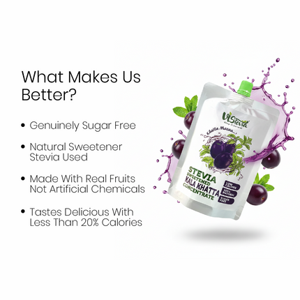 Sugar Free Khatta Mazaa Drink | 150ml | Vistevia