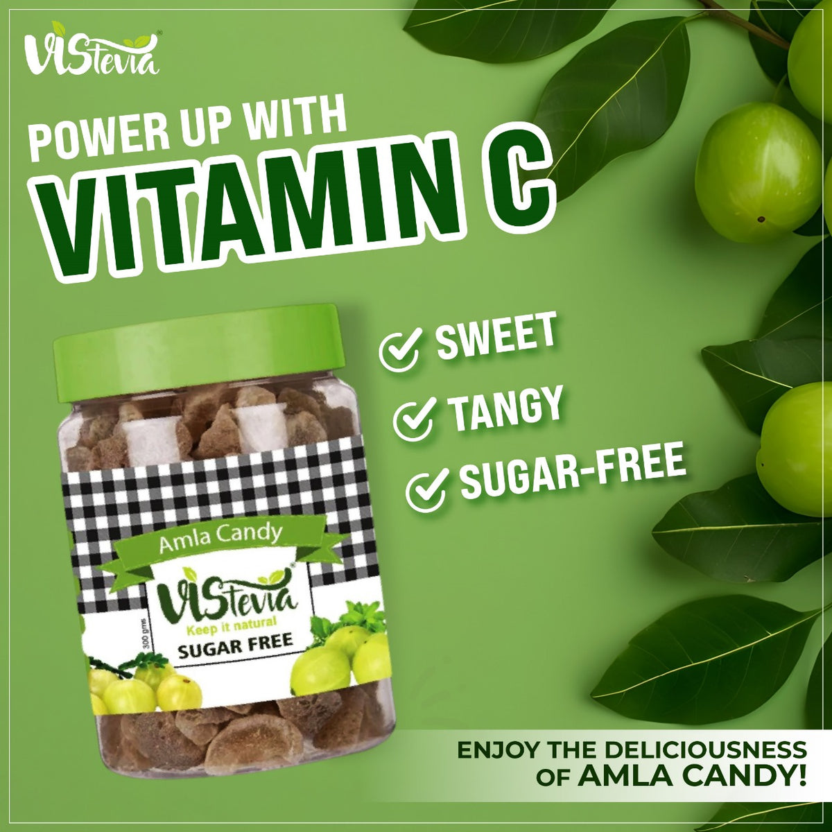 VIStevia Sugar Free Amla Candy - Diabetic Friendly, naturally sweetened with Stevia (300gm)
