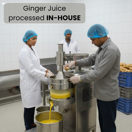 Vistevia Ginger Pop - Sugar Free Ginger Ale Syrup 470ml | Makes 30-35 glasses | 100% Natural | Diabetic & Keto friendly