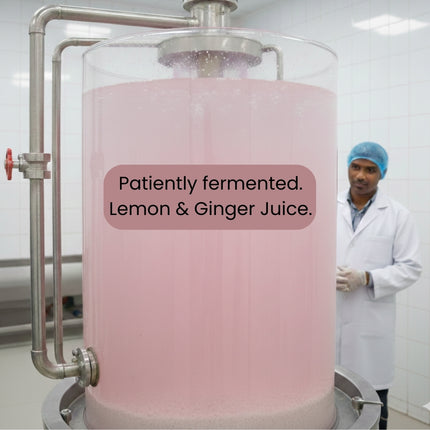 Vistevia Ginger Pop - Sugar Free Ginger Ale Syrup 470ml | Makes 30-35 glasses | 100% Natural | Diabetic & Keto friendly