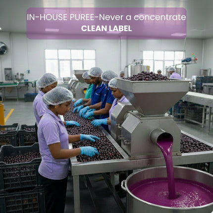 VISTEVIA Khatta Mazaa - Sugarfree Kala Khatta Syrup 470ml (makes 30-35 glasses) | 100% Natural - Made with Kala Jamun | Perfect for Diabetics | Tastes Delicious