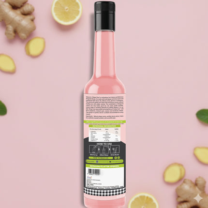 Sugar Free Ginger Ale Syrup | 470ml | Vistevia